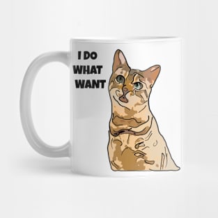 Cat I Do What I Want Mug